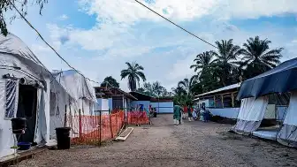 Kongo Demokratik Cumhuriyeti'nde Ebola Salgını: 246 Vaka, 65 Ölüm
