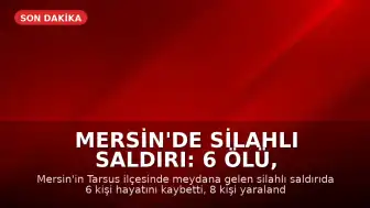 Mersin'de Silahlı Saldırı: 6 Ölü, 8 Yaralı - Saldırganın Psikiyatrik Geçmişi Ortaya Çıktı