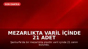 Mezarlıkta Varil İçinde 21 Adet Cenin Bulundu