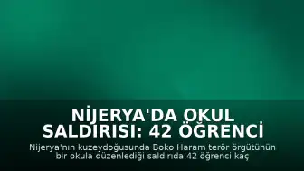 Nijerya'da Okul Saldırısı: 42 Öğrenci Kaçırıldı