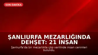 Şanlıurfa Mezarlığında Dehşet: 21 İnsan Cenini Bulundu