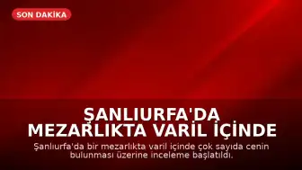 Şanlıurfa'da Mezarlıkta Varil İçinde Çok Sayıda Cenin Bulundu