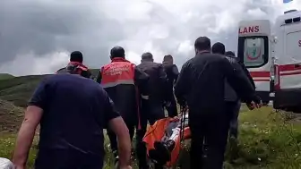 Sivas'ta Mantar Toplarken Ayı Saldırısına Uğrayan Vatandaşın Parmağı Koptu