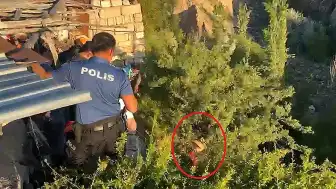 Tedavi İçin Götürüldüğü Hastaneden Kaçan Kişi Dere Yatağındaki Ağaçta Asılı Kaldı