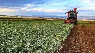 Tokat'ta Sel ve Dolu Afeti Çiftçiyi Vurdu: Ziraat Odası Destek Sözü Verdi