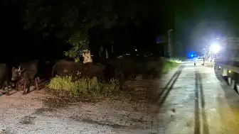 Tokat'ta Taşkın Riski Nedeniyle Bir Köy Tahliye Ediliyor