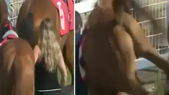 Yarış Atı Sahip Personeline Tekme Attı, Hafif Yaralandı