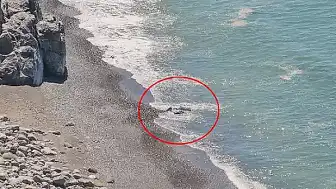 Zonguldak Sahilinde Ceset İhbarı Asılsız Çıktı