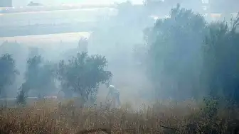 Antalya'da Çalılık Alanda Çıkan Yangın Seralara Ulaşmadan Söndürüldü