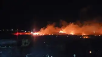 Balıkesir Burhaniye'de Örtü Yangını: Ekiplerin Müdahalesi Sürüyor