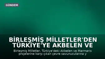 Birleşmiş Milletler'den Türkiye'ye Akbelen ve Marmaris İçin Çevre Savunucuları Uyarısı