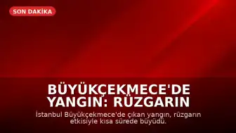 Büyükçekmece'de Yangın: Rüzgarın Etkisiyle Alevler Yayılım Gösterdi