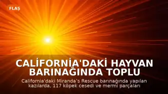 California'daki Hayvan Barınağında Toplu Mezarlar Bulundu: 117 Köpek Cesedi Ortaya Çıkarıldı