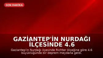 Gaziantep'in Nurdağı ilçesinde 4.6 büyüklüğünde deprem kaydedildi