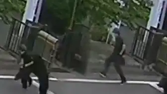 Japonya'da Ayı Saldırıları Sonucu Eğitime Ara Verildi