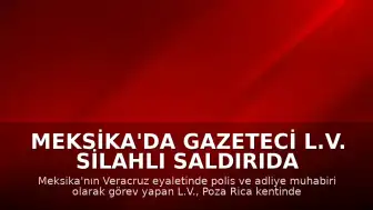 Meksika'da Gazeteci L.V. Silahlı Saldırıda Hayatını Kaybetti