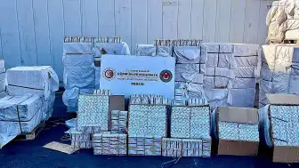 Mersin Limanı'nda Pakistan'dan Gelen Konteynerde 12 Milyon 400 Bin Kapsül İlaç Ele Geçirildi