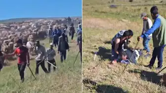 Muş'ta İki Köy Arasında Mera Tartışması Silahlı Çatışmaya Dönüştü: 3 Yaralı