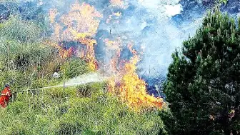 Ormancılardan Yaz Sıcaklıkları ve Yangın Tehlikesi Hakkında Uyarı