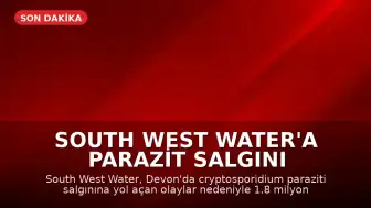 South West Water'a Parazit Salgını Nedeniyle 1.8 Milyon Sterlin Ceza