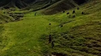 Tunceli'de Ayı Saldırısı: 3 Kişi Yaralandı
