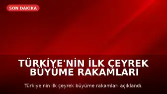 Türkiye'nin İlk Çeyrek Büyüme Rakamları Açıklandı: Bilgi ve İletişim Sektörü Öne Çıktı