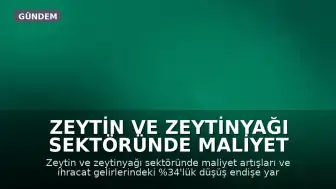 Zeytin ve Zeytinyağı Sektöründe Maliyet ve İhracat Kaygısı