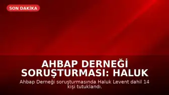 Ahbap Derneği Soruşturması: Haluk Levent ve 13 Kişi Tutuklandı