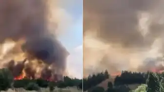 Ankara'da Otluk Alanda Yangın Söndürüldü