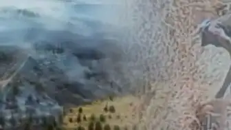 Ankara'da Otluk Alandaki Yangının Kundaklama Olduğu Ortaya Çıktı