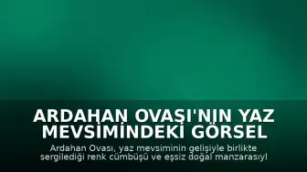 Ardahan Ovası'nın Yaz Mevsimindeki Görsel Şöleni Havadan Kaydedildi