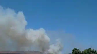 Ayvalık'ta Çöplük Alanında Yangın Çıktı