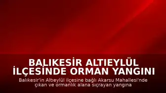 Balıkesir Altıeylül İlçesinde Orman Yangını Çıktı