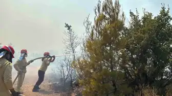 Balıkesir Gömeç'te Orman Yangınına Havadan ve Karadan Müdahale Ediliyor