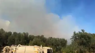 Balıkesir'de Orman Yangınıyla Mücadele Devam Ediyor