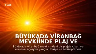 Büyükada Viranbağ Mevkiinde Plaj ve Orman Yangını: 4 Kişi Dumandan Etkilendi