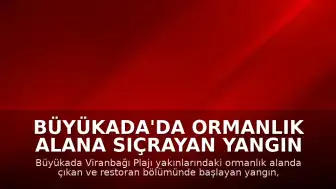 Büyükada'da Ormanlık Alana Sıçrayan Yangın Kontrol Altına Alındı