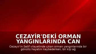 Cezayir'deki Orman Yangınlarında Can Kaybı ve Yaralanma Bildirildi