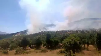 Diyarbakır Çüngüş'te Ağaçlık Alanda Yangın Çıktı