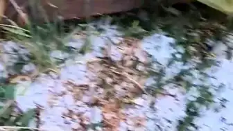 Edirne Lalapaşa'da Dolu Yağışı: Tarım Arazileri Zarar Gördü
