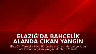 Elazığ'da Bahçelik Alanda Çıkan Yangın Kontrol Altına Alındı
