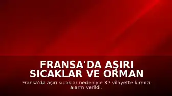 Fransa'da Aşırı Sıcaklar ve Orman Yangınları: 37 Vilayet İçin Kırmızı Alarm Verildi