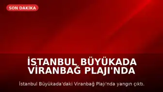 İstanbul Büyükada Viranbağ Plajı'nda Yangın Çıktı