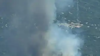 İzmir Bornova'da Orman Yangını: Ekipler Havadan ve Karadan Müdahale Ediyor