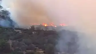 İzmir Bornova'da Orman Yangını Kontrol Altına Alındı