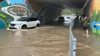Kocaeli'nde Şiddetli Sağanak: Alt Geçit Suyla Doldu