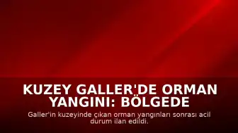 Kuzey Galler'de Orman Yangını: Bölgede Acil Durum İlan Edildi
