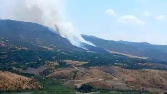 Malatya Pütürge'de Orman Yangını Çıktı