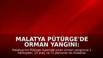 Malatya Pütürge'de Orman Yangını: Ekiplerin Müdahalesi Sürüyor
