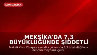 Meksika'da 7,3 Büyüklüğünde Şiddetli Deprem: Tsunami Uyarısı Yapıldı